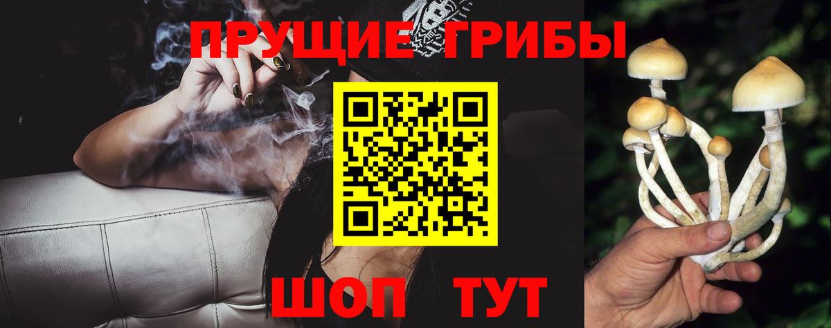 Псилоцибиновые грибы GOLDEN TEACHER Дюртюли